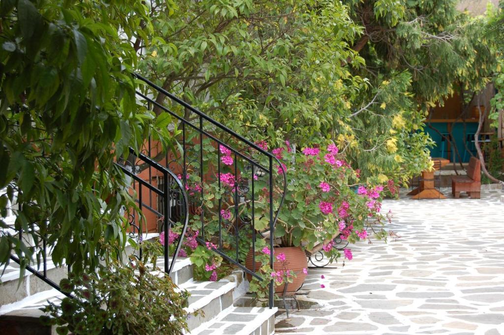Hotel Villa Marie ซิโวตา ภายนอก รูปภาพ