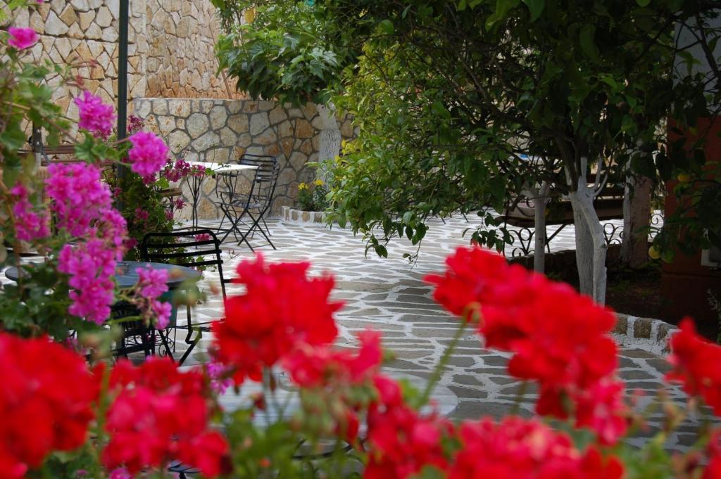 Hotel Villa Marie ซิโวตา ภายนอก รูปภาพ