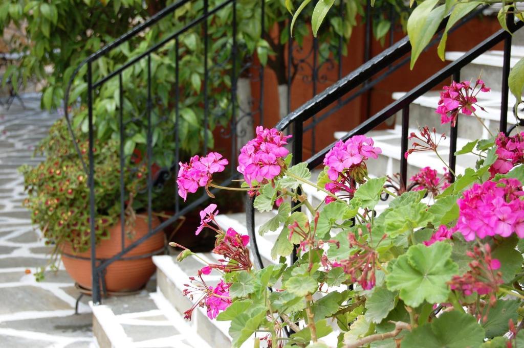 Hotel Villa Marie ซิโวตา ภายนอก รูปภาพ